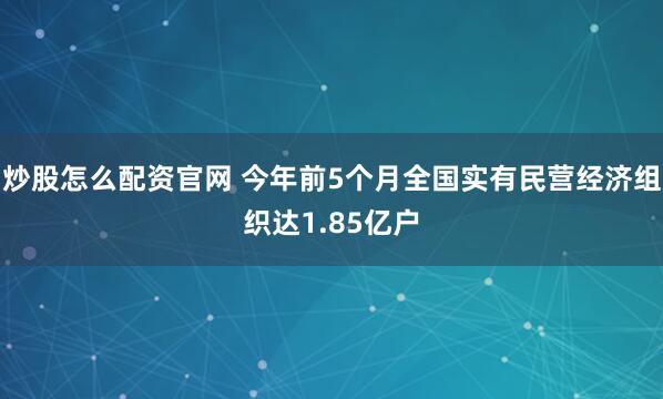 炒股怎么配资官网 今年前5个月全国实有民营经济组织达1.85亿户