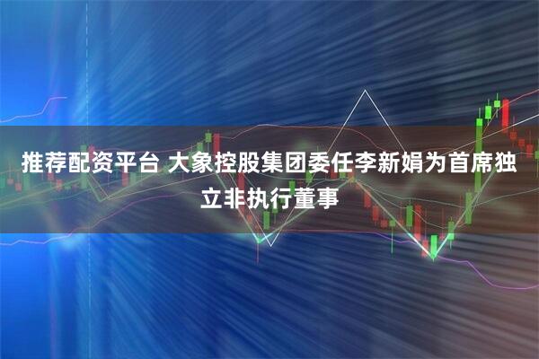 推荐配资平台 大象控股集团委任李新娟为首席独立非执行董事