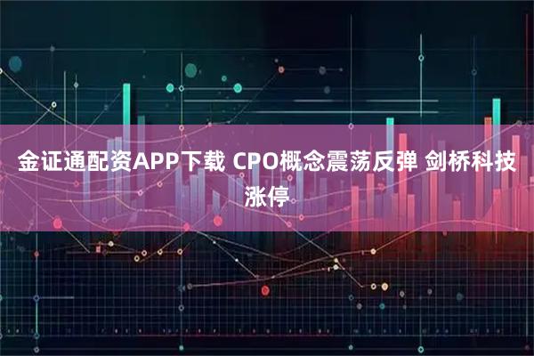金证通配资APP下载 CPO概念震荡反弹 剑桥科技涨停