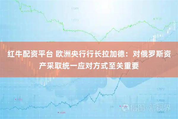 红牛配资平台 欧洲央行行长拉加德：对俄罗斯资产采取统一应对方式至关重要