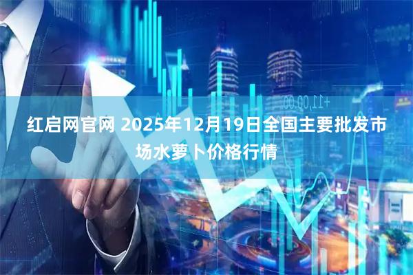 红启网官网 2025年12月19日全国主要批发市场水萝卜价格行情